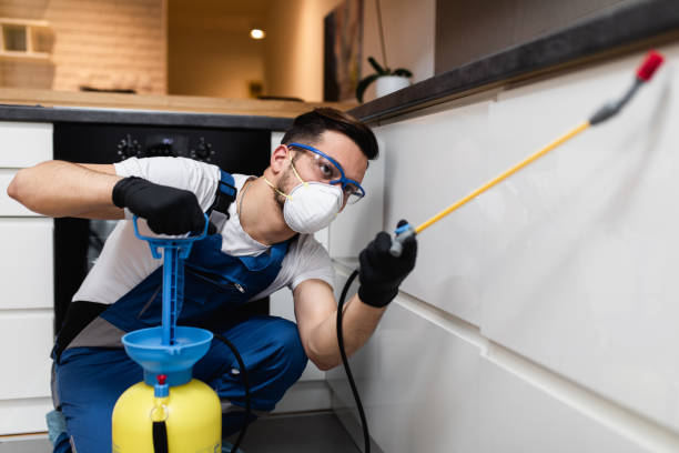 Best Bed Bug Extermination  in Elroy, WI